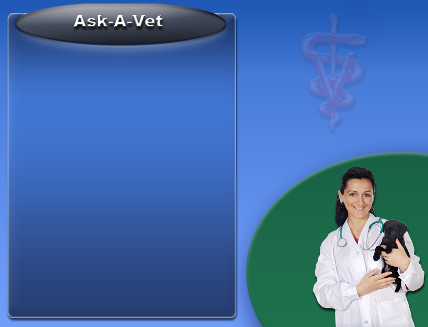 ACA Ask A Vet